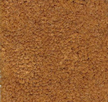 Ковролин Emphatic Beaulieu of America 56291 фото 1 | FLOORDEALER