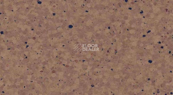 Кварцвиниловые полы  0698_Cacao фото 1 | FLOORDEALER