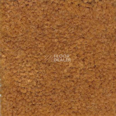 Ковролин Emphatic Beaulieu of America 56291 фото 1 | FLOORDEALER