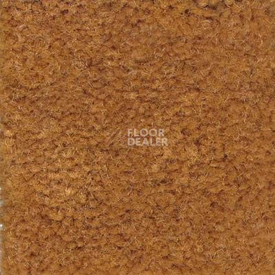 Ковролин Emphatic Beaulieu of America 56291 фото 1 | FLOORDEALER