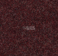 Ковролин Forbo Akzent 10726 Merlot фото 1 | FLOORDEALER