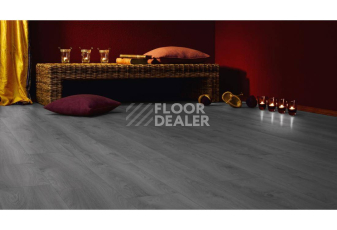Kronotex Mammut Plus d3670 Дуб Макро Светло-серый фото 4 | FLOORDEALER