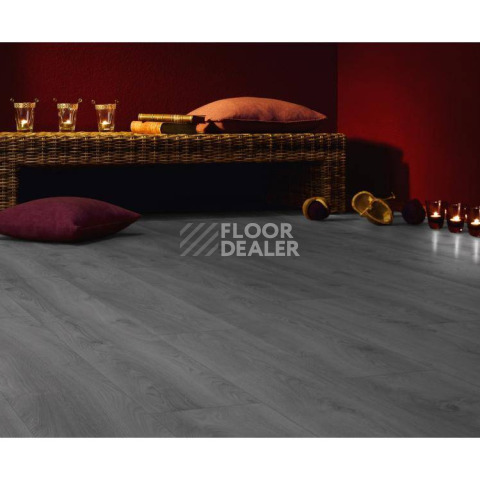 Kronotex Mammut Plus d3670 Дуб Макро Светло-серый фото 4 | FLOORDEALER