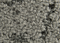 Balsan Crazy Balsan Crazy 930 фото 4 | FLOORDEALER