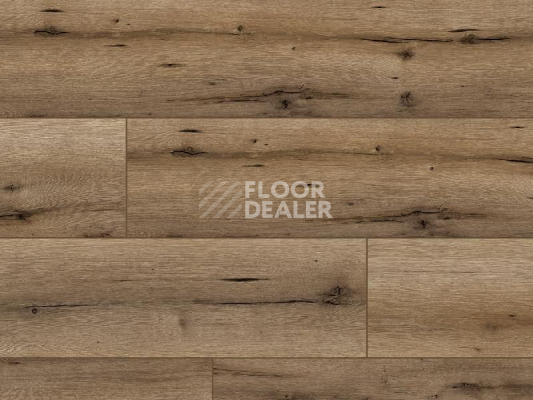 Ламинат Classen Arteo 8XL WR 54836 Kalymnos Oak /8XL фото 1 | FLOORDEALER