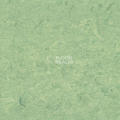 Линолеум Marmorette DLW 2.5mm 0130 Antique Green фото 1 | FLOORDEALER