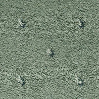 Ковролин Condor Carpets Africa 550 фото 1 | FLOORDEALER