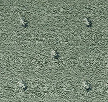 Ковролин Condor Carpets Africa 550 фото 1 | FLOORDEALER