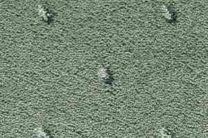 Ковролин Condor Carpets Africa 550 фото  | FLOORDEALER