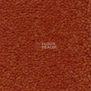 Ковролин Infloor Cliff 700 фото 1 | FLOORDEALER