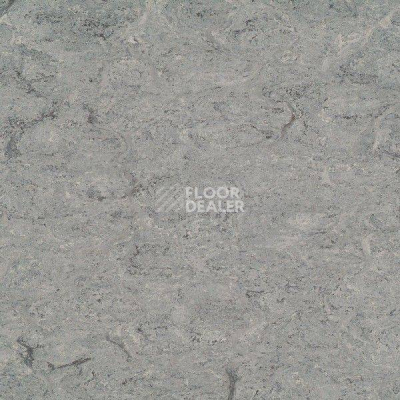 Линолеум Marmorette DLW 2.5mm 121-053 фото 1 | FLOORDEALER