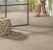 Vorwerk Superior 1065/Viola Vorwerk 8h50 фото 2 | FLOORDEALER