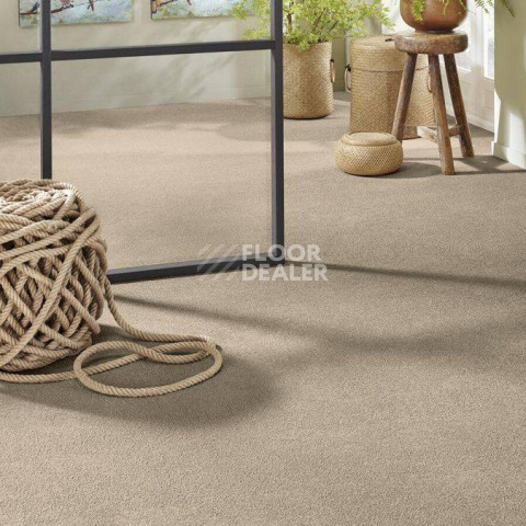 Vorwerk Superior 1065/Viola Vorwerk 8h50 фото 2 | FLOORDEALER