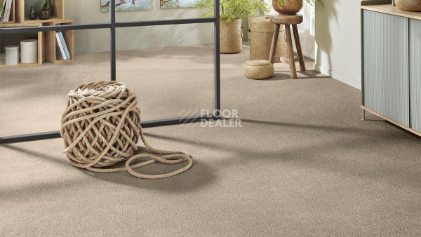 Vorwerk Superior 1065/Viola Vorwerk 8h50 фото 2 | FLOORDEALER