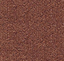 Ковролин AW Souplesse 80 фото 1 | FLOORDEALER