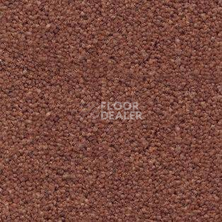 Ковролин AW Souplesse 80 фото 1 | FLOORDEALER