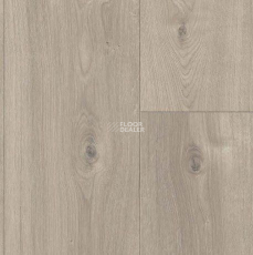 Parador Basic Plus 600 XS 1744356 Дуб Мистраль Серый фото 2 | FLOORDEALER