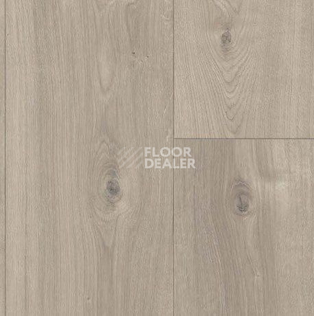 Parador Basic Plus 600 XS 1744356 Дуб Мистраль Серый фото 2 | FLOORDEALER