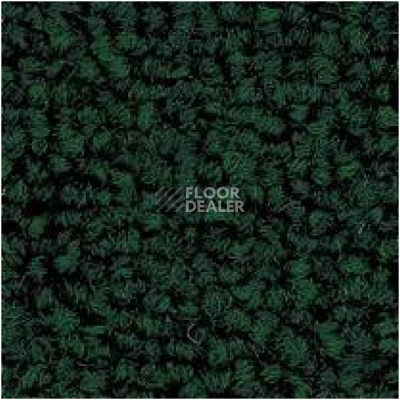 Ковровая плитка Tecsom 3580 dv 028 фото 1 | FLOORDEALER