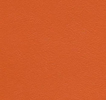 Линолеум Graboflex Start 4000-665-279 фото 1 | FLOORDEALER