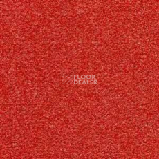 Ковролин Radici Montecarlo 53 фото 1 | FLOORDEALER