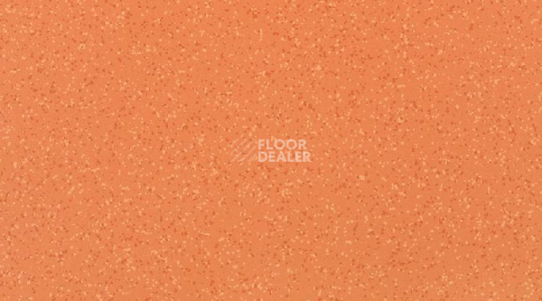 Кварцвиниловые полы Attraction Cleantech 600x600 BRAZILIA_8157_Goias фото 1 | FLOORDEALER