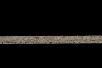 Flotex Colour s 482018 Penang Bamboo фото 3 | FLOORDEALER