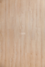 Bonkeel Base Base 210 фото 1 | FLOORDEALER