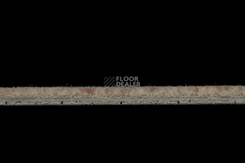 Flotex Colour s 482018 Penang Bamboo фото 3 | FLOORDEALER