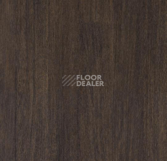 Линолеум Forbo SureStep Wood Decibel 71805 фото 1 | FLOORDEALER