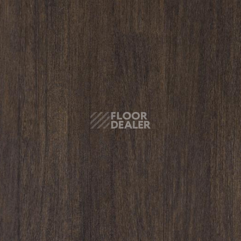 Линолеум Forbo SureStep Wood Decibel 71805 фото 1 | FLOORDEALER