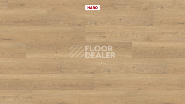 Ламинат Haro Tritty 200 Aqua 4V Дуб Флавия Пуро 544769 фото 2 | FLOORDEALER