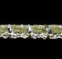 AW Magma 29 фото 4 | FLOORDEALER