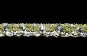 AW Magma 29 фото 4 | FLOORDEALER