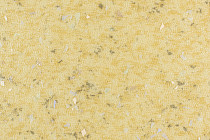 Линолеум Forbo Emerald Spectra 5530 фото 1 | FLOORDEALER