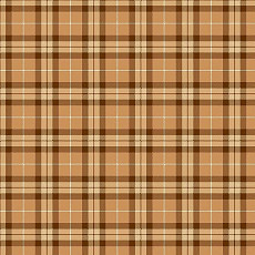Ковролин Agnella Impulse Tartan Dark Beige фото 1 | FLOORDEALER