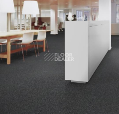 Forbo Tessera Basis 357 Mid Grey фото 2 | FLOORDEALER