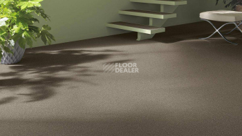 Vorwerk Essential 1031 Vorwerk 8j46 фото 2 | FLOORDEALER