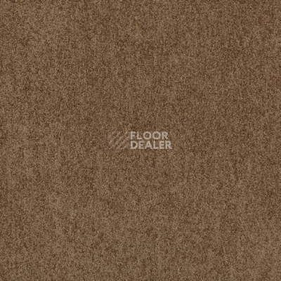 Ковролин Mohawk Lounge 270 фото 1 | FLOORDEALER