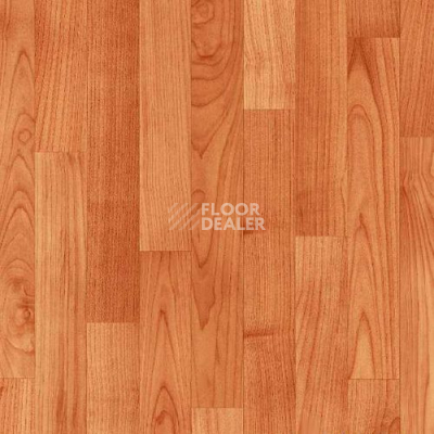 Линолеум Grabo Silver Knight Fitness 3151_378_279 фото 1 | FLOORDEALER