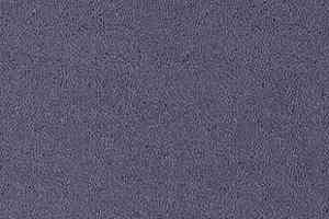 Ковролин Desso Asteranne 3112 фото  | FLOORDEALER