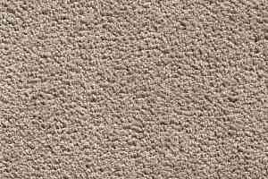 Ковролин Condor Sweet 92 фото  | FLOORDEALER