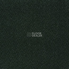 Ковролин Big Endurance 224 фото 1 | FLOORDEALER