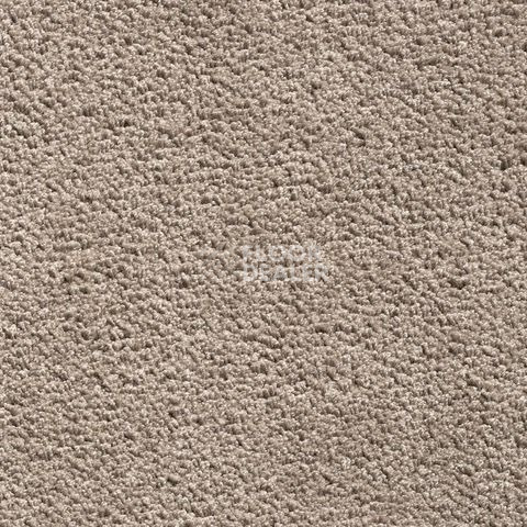 Ковролин Condor Sweet 92 фото 1 | FLOORDEALER
