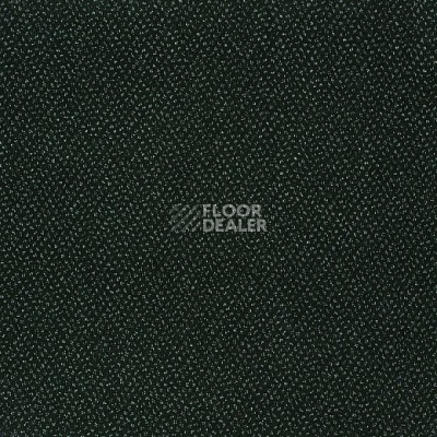 Ковролин Big Endurance 224 фото 1 | FLOORDEALER