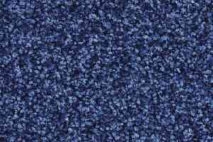 Ковролин Balsan Script 160 фото  | FLOORDEALER