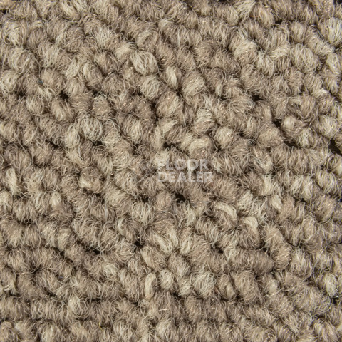 Balsan Season - Summer / Winter 650 фото 2 | FLOORDEALER