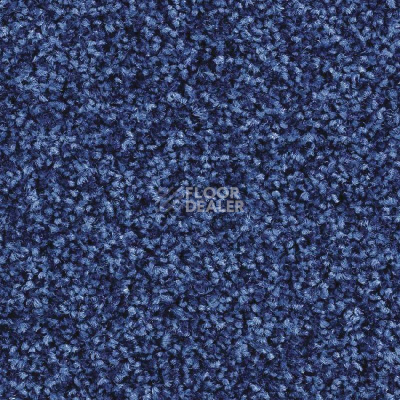 Ковролин Balsan Script 160 фото 1 | FLOORDEALER