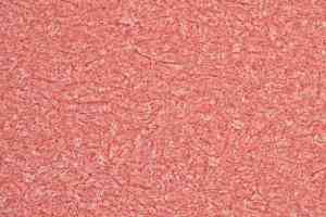 Линолеум Novoflor Extra Ideal 2800-12 фото  | FLOORDEALER