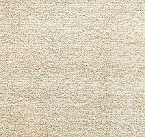 Ковролин Tarkett Dragon Dragon 10231 фото 1 | FLOORDEALER